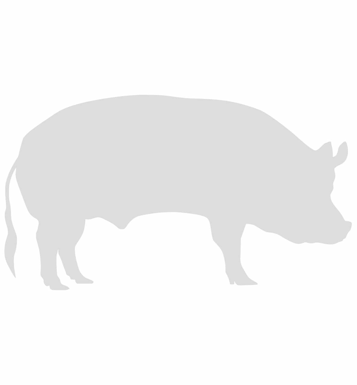 Porc Ibérique 100% Naturel 