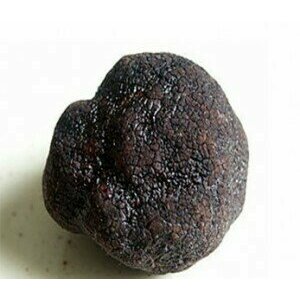 Truffes d'été